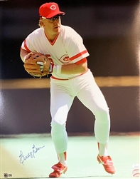 BUDDY BELL SIGNED CINCI REDS 16X20 PHOTO #2 - JSA