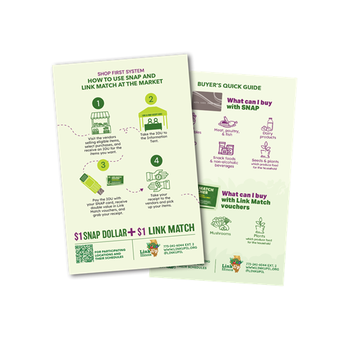 Link Match / SNAP Buyer's Guide Flyers