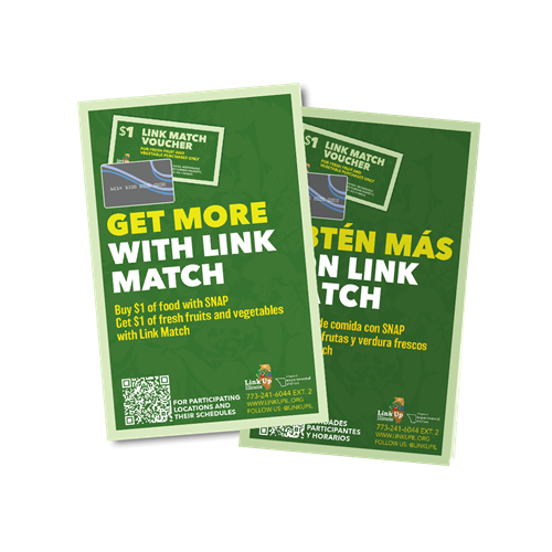 Link Match / SNAP: Get More with Link Match
