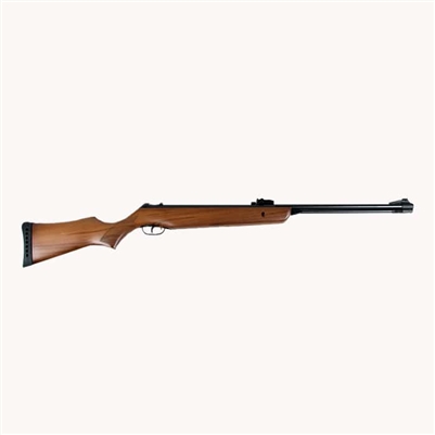 .22 LR Semiautomatic Rifle