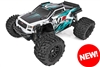 Team Associated Rival MT8 Ready-To-Run 4wd  Monster Truck, teal