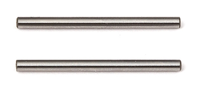 Associated RC12R6 Hinge Pins