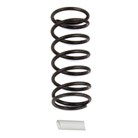 .Associated RC12R6 Shock Spring, white, 11.2 lb/in (1)
