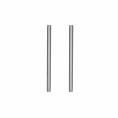 Associated RC10 '91 Stealth Car Rear Inner Hinge Pins