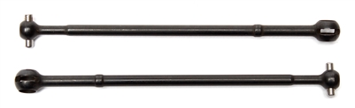 Associated T5M/SC5M CVA Bones (2)