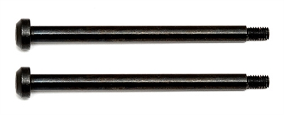 Associated RC8B3 Rear Outer Hinge Pins (2)