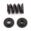 Associated RC10B6.1 Slipper Spring