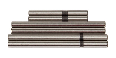 Associated RC10B74 Hinge Pin Set (6)