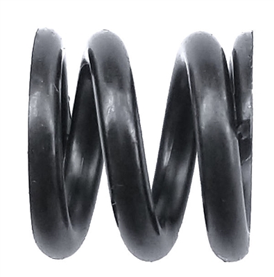 Associated B74.1 Slipper Spring 500#