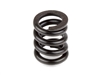 Associated Slipper Spring