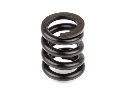 Associated B44 Slipper Spring