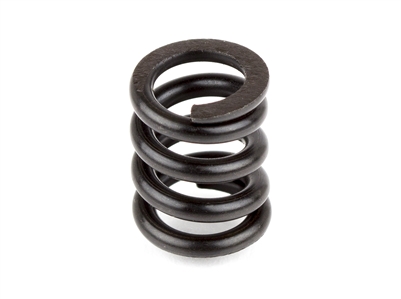 Associated Slipper Spring