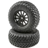 Losi Tenacity SCT Mounted Tires and Rims (2)