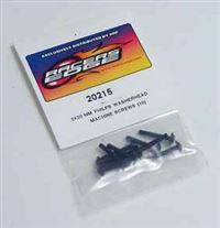 Racer's Edge Screws-3 x 20mm Phillips Washerhead Machine