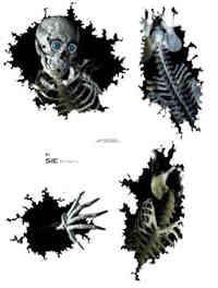 Racer's Edge Looking In Decal Sheet