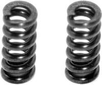 Serpent Spyder SRX-2 Slipper Springs, (2)