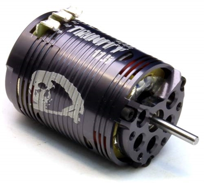 Team Epic D4 17.5 Turn Roar Spec Maxzilla Brushless Motor