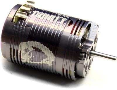 Team Epic D4 21.5 Turn Roar Spec Brushless Motor