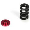 Losi 22 Slipper Spring