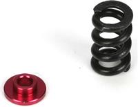 Losi 22 Slipper Spring