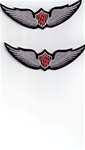 Solo Wings Orange "S" - FULL COLOR PATCH - Army