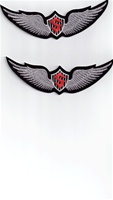 Solo Wings Orange "S" - FULL COLOR PATCH - Army