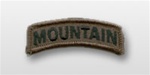 US Army Tab: Mountain 10th Infantry - Subdued