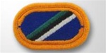 US Army Oval:  160th Aviation - 1st Battalion