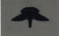 USAF Badges Embroidered ABU: Freefall Jump Wings
