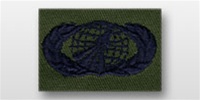 USAF Badges - Subdued Fatigue - Rayon Embroidered: Acquisition & Finance Management