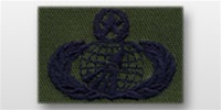 USAF Badges - Subdued Fatigue - Rayon Embroidered: Acquisition & Finance Management - Master