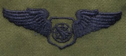 USAF Badges - Subdued Fatigue - Rayon Embroidered: Air Battle Manager