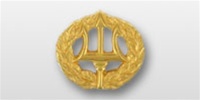 US Navy Mini Breast Badge: Command Ashore - Mirror Finish