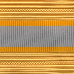 US Army Cap Braid with Specialty for Officer:  FINANCE