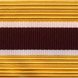 US Army Cap Braid with Specialty for Officer:  MEDICAL
