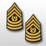 US Army Rank - Mens Gold/Green: E-9 Command Sergeant Major (CSM)