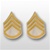 US Army Rank Gold/White: E-6 Staff Sergeant (SSG)