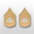 US Army Rank Gold/White: E-7 Sergeant First Class (SFC)
