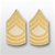 US Army Rank Gold/White: E-8 Master Sergeant (MSG)