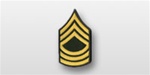US Army Rank Womens Gold/Green: E-8 Master Sergeant (MSG)