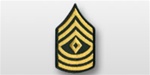 US Army Rank Womens Gold/Green: E-8 First Sergeant (1SG)