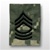 US Army ACU GoreTex Jacket Tab: E-8 Master Sergeant (MSG)