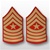 USMC Male Gold/Red Shoulder Insignia: E-9 Sergeant Major (SgtMaj)