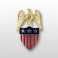 US Army Aides Insignia: Aide To  O-9 Lieutenant General (LTG) -  Spec. Quality - Metal