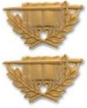 US Army Officer Branch Insignia 22K: Staff Specialist