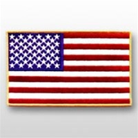 US Flag Patch: American Flag 5î X 8î Gold - 1 Each