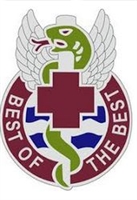 US Army Unit Crest: 343rd Combat Support Hospital - Motto: BEST OF THE BEST