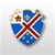 US Army Unit Crest: 29th Engineer Battalion - NO MOTTO