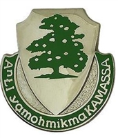 US Army Unit Crest: 348th Regiment (Infantry) - Motto: ANLI YAMOHMOKMA KAMASSA