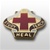 US Army Unit Crest: 452nd. Combat Support Hospital - Motto: STUDY HEAL TEACH